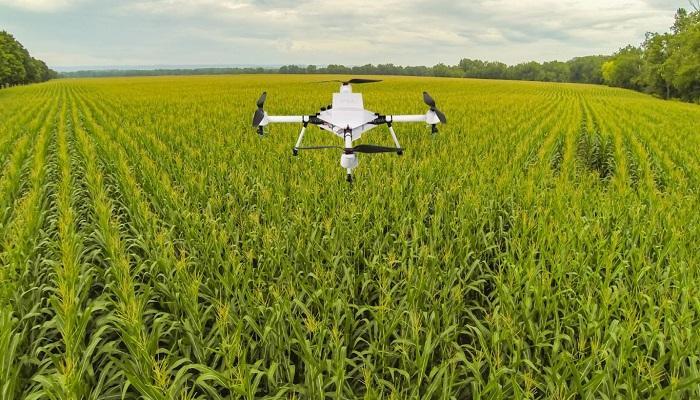 The Rise of Agritech: How Young Nigerians Are Transforming Farming