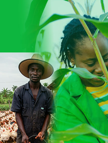 Biem-Farms-Ltd-image