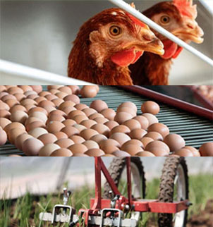 Biem-Farms-Products-and-Services