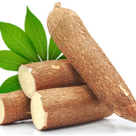 Cassava